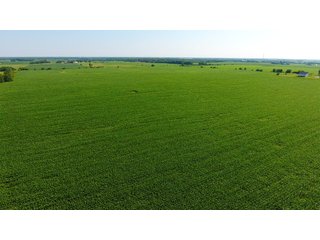 Property photo 3 - LAND AUCTION - 209.2+/- ACRES OFFERED IN 4 TRACTS IN NEWTON COUNTY, INDIANA